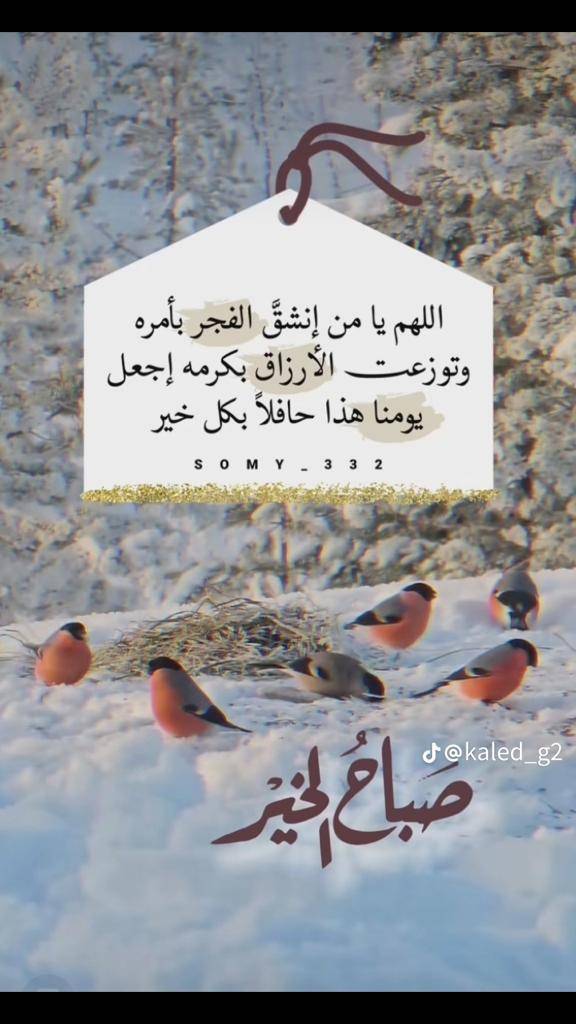 مختارات
