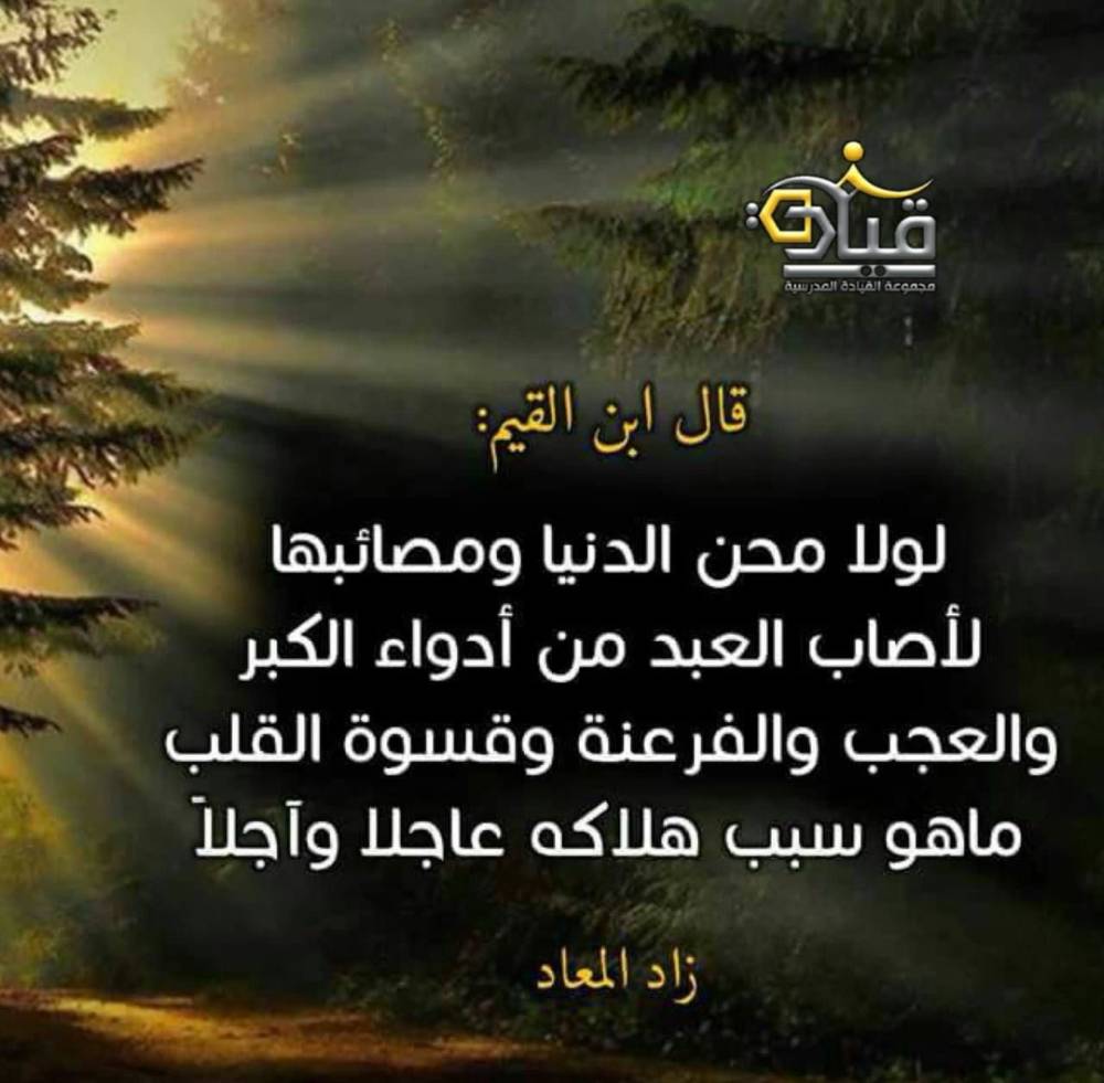مختارات