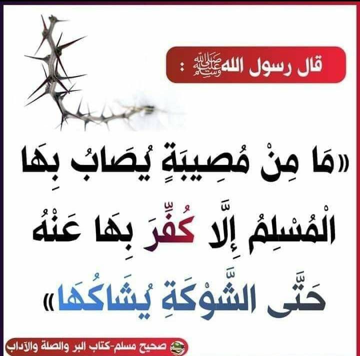 مختارات