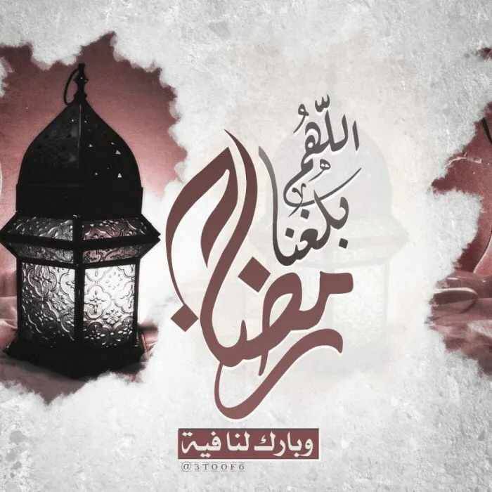 مختارات