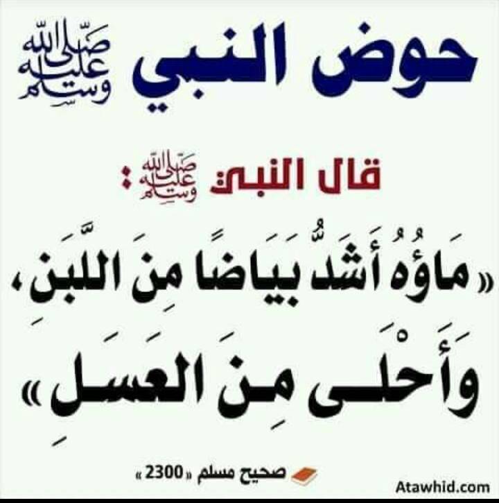 مختارات