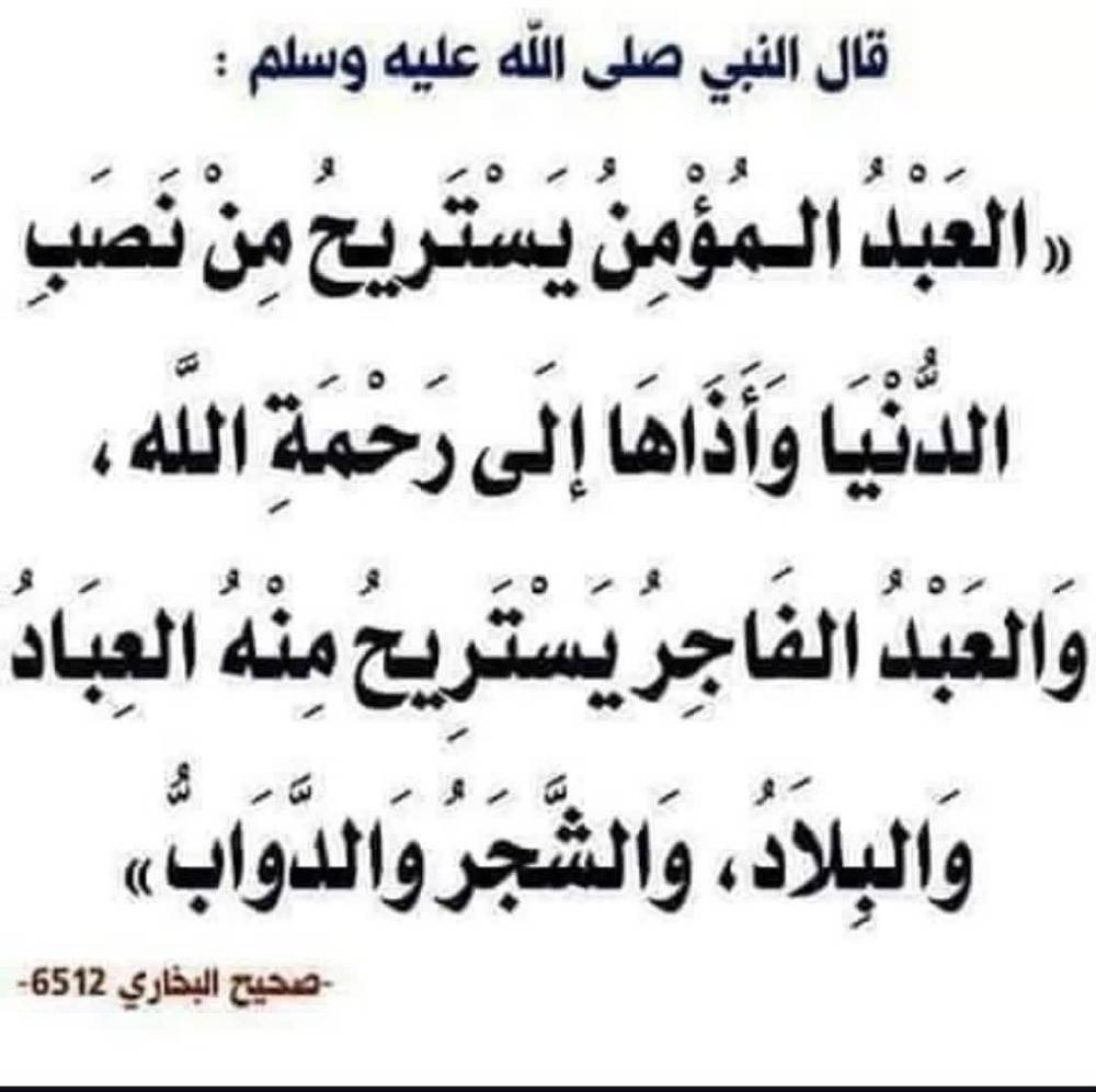 مختارات