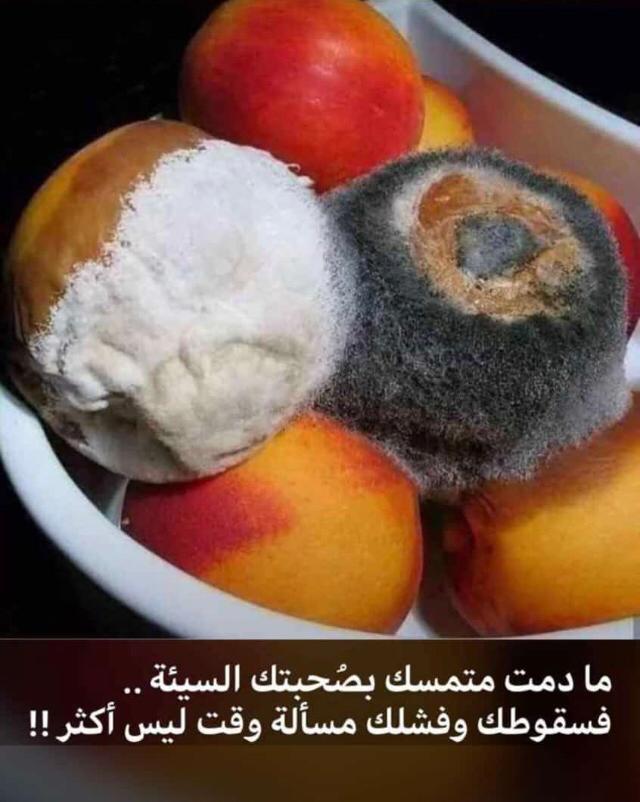 نهاية التمسك بالصحبة السيئة