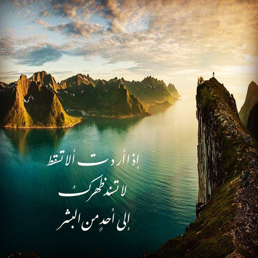 مختارات