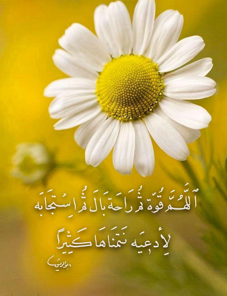 اللهم قوة ثم راحة بال ثم استجابةلأدعية نتمناها كثيرا. 