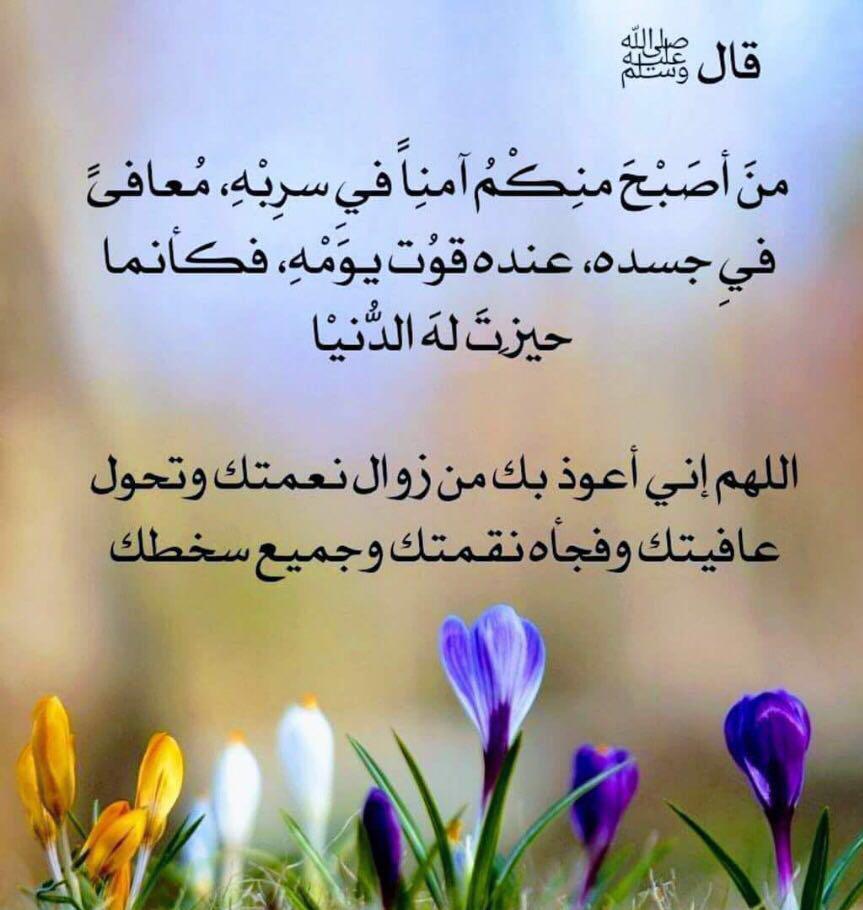 من اصبح منكم آمنا في سربه معافى في بدنه عنده قوت يومه فكأنما حيزت له الدنيا