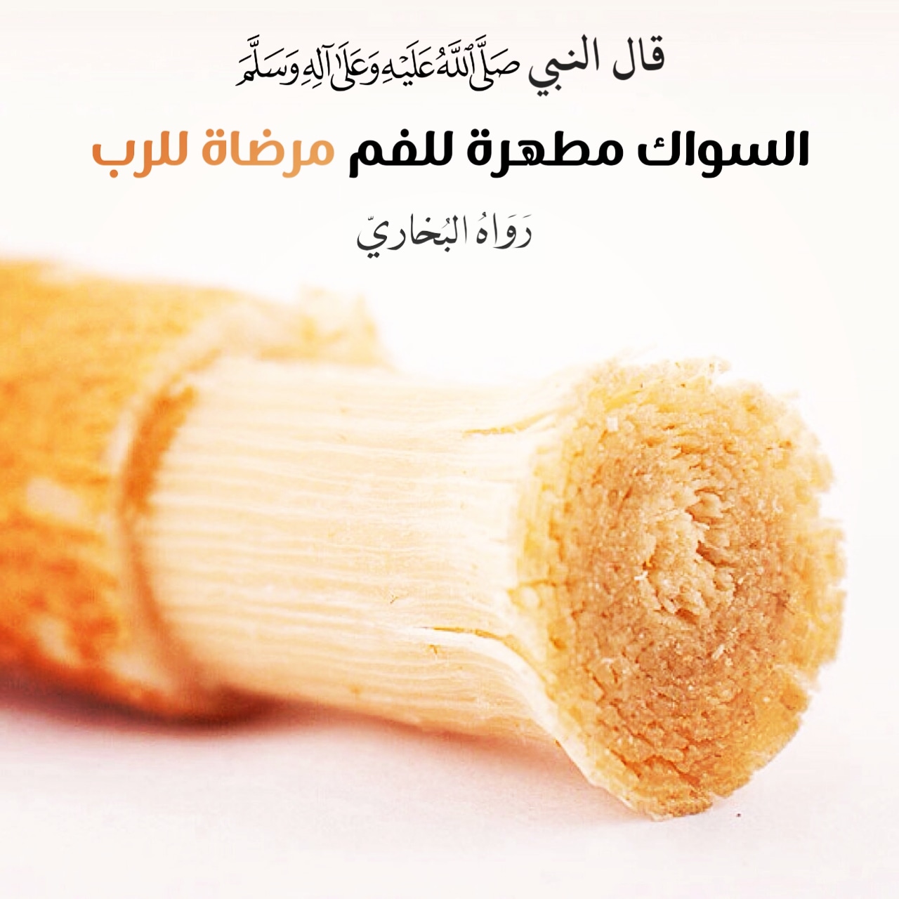 مختارات