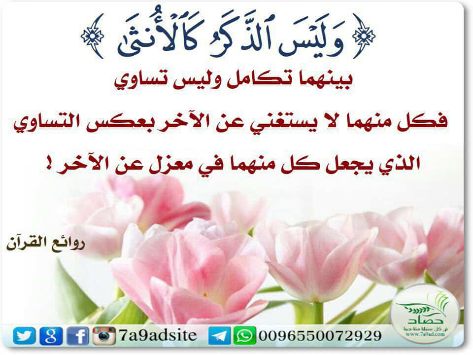 مختارات