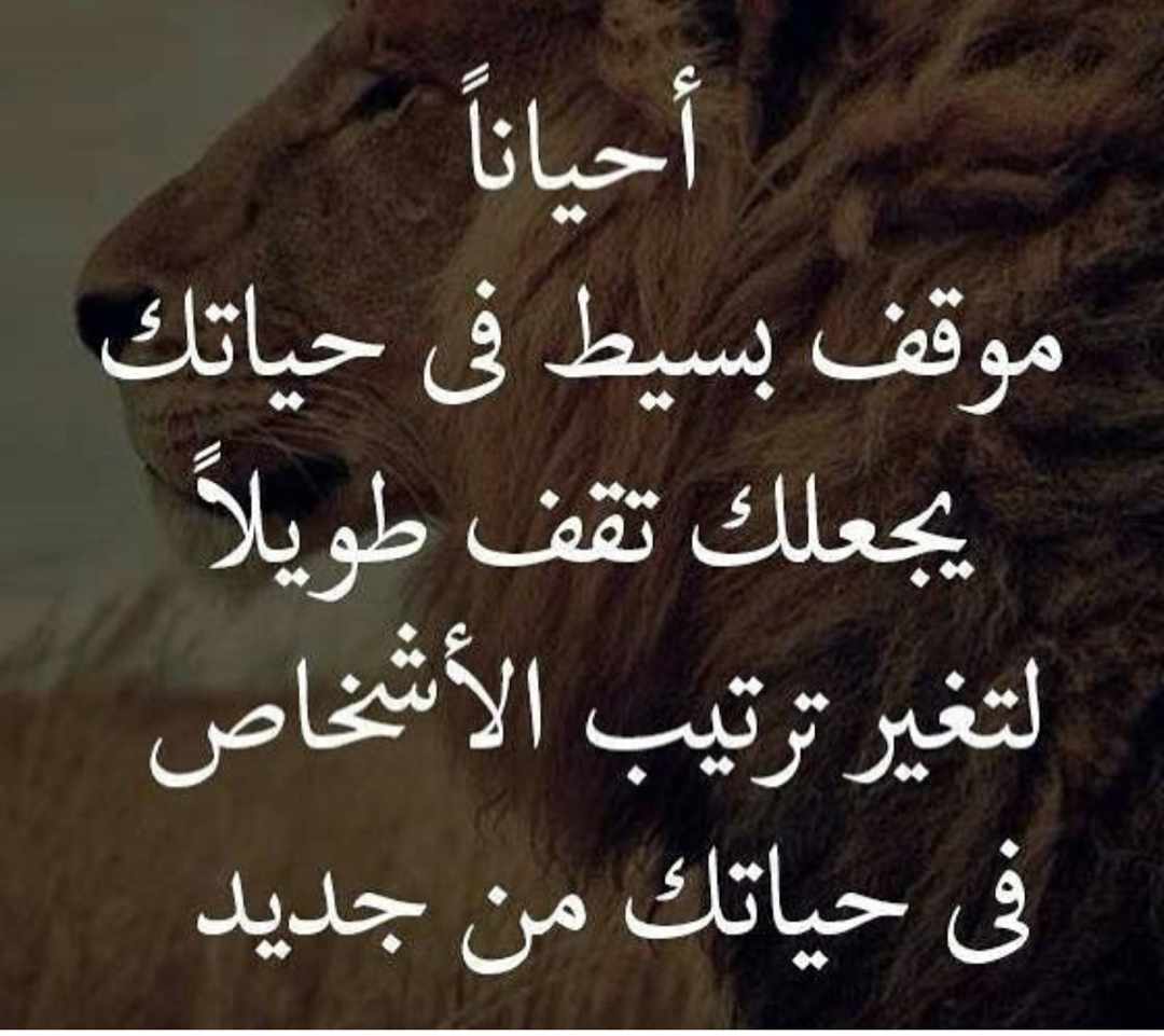 مختارات
