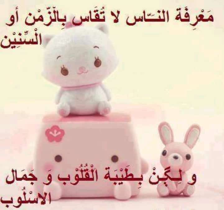 مختارات