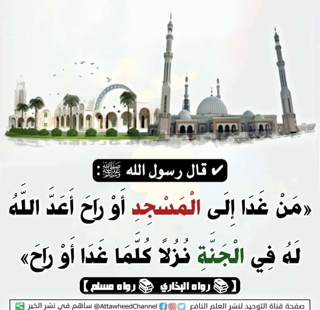 مختارات