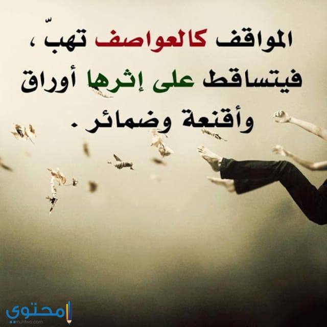 مختارات
