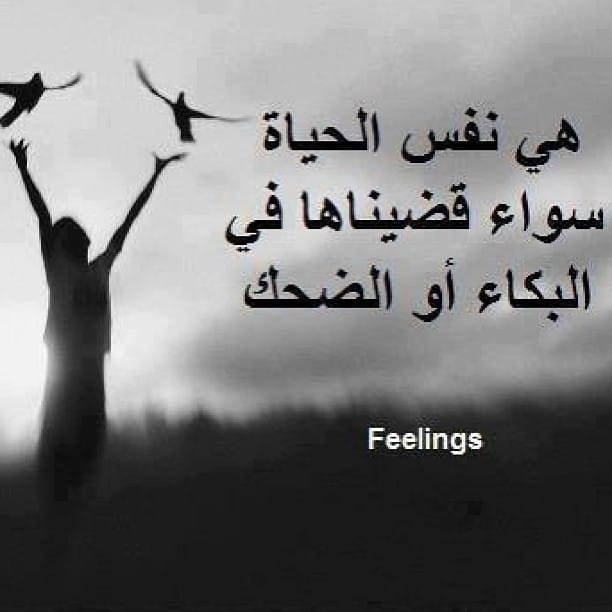 مختارات