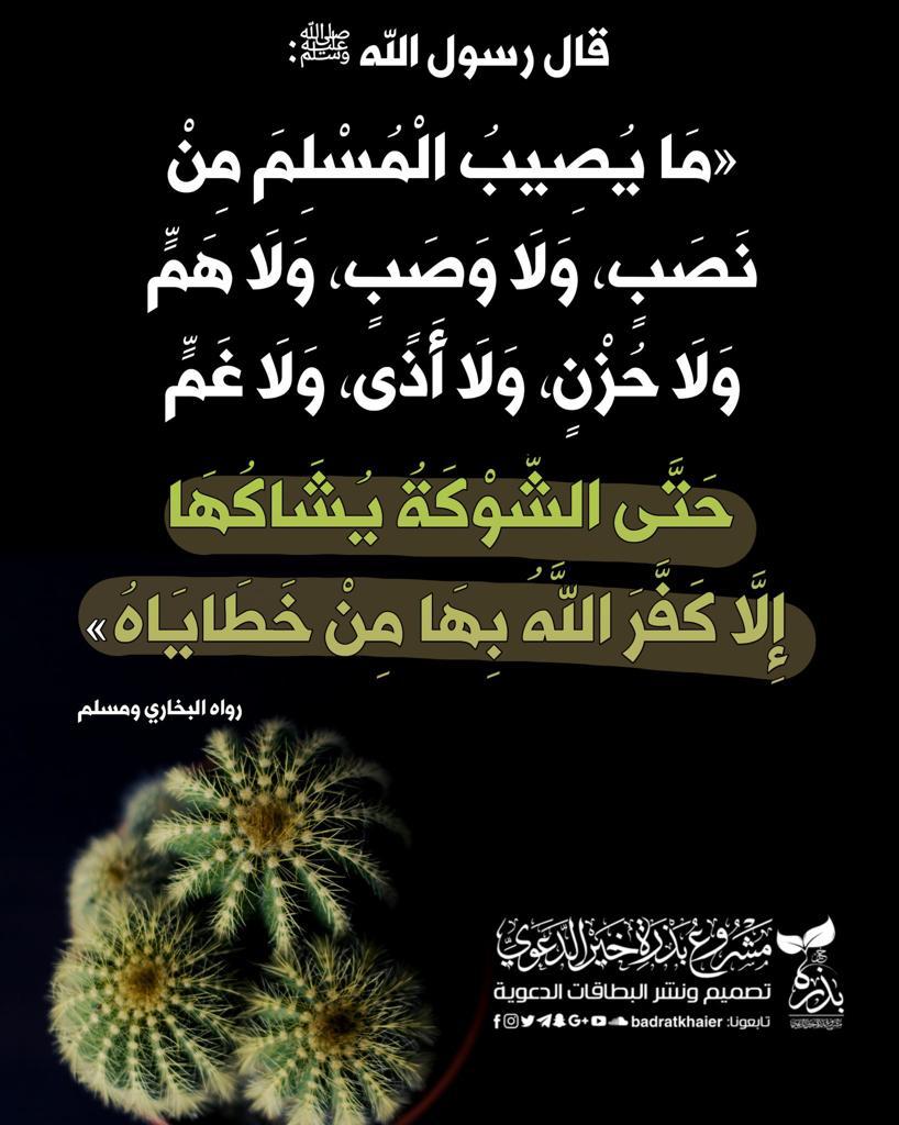 مختارات