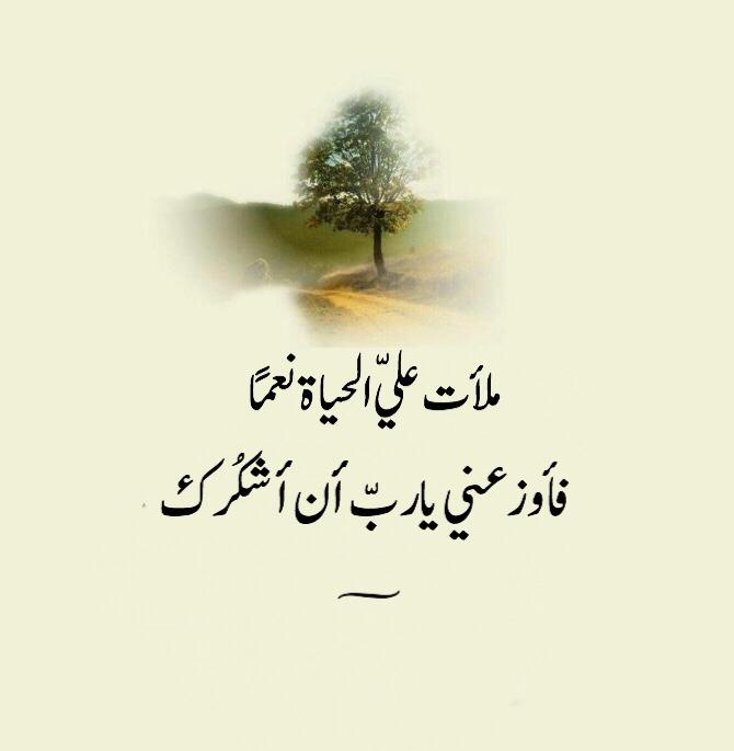مختارات
