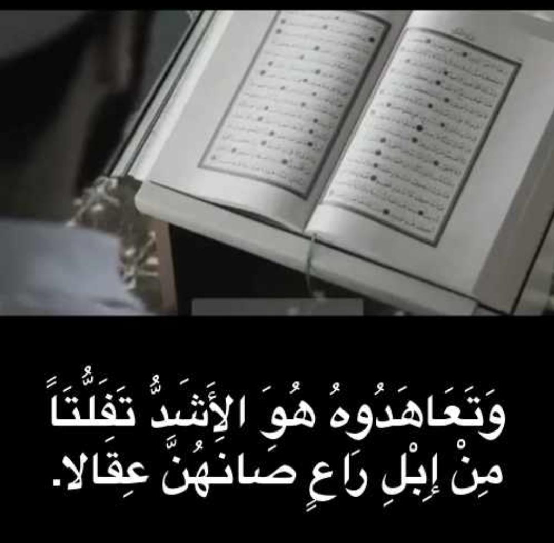مختارات
