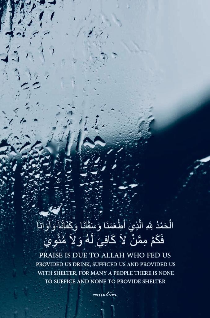 مختارات