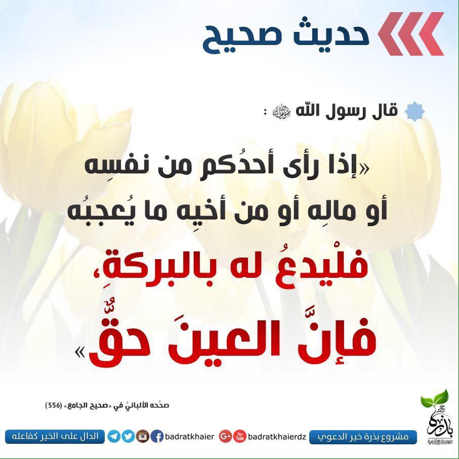 مختارات