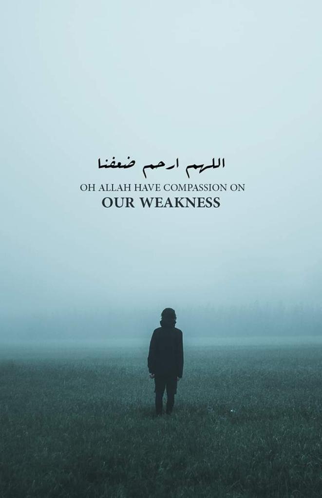 مختارات