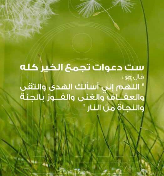 مختارات