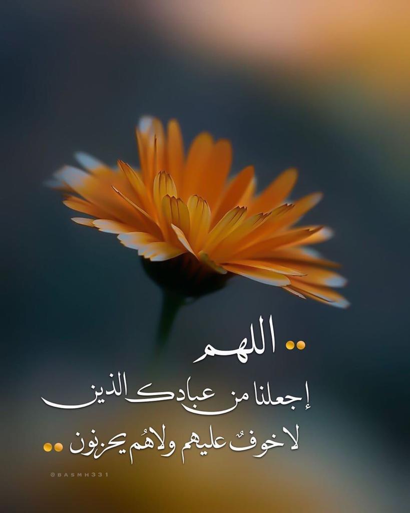 مختارات