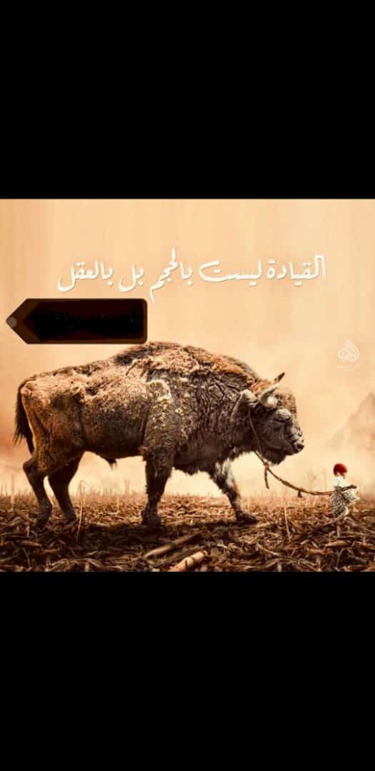 مختارات