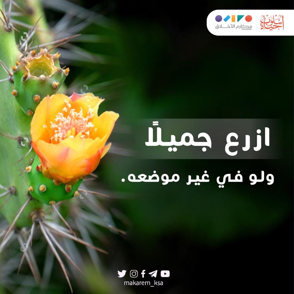 مختارات