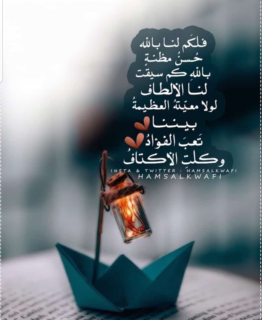 مختارات
