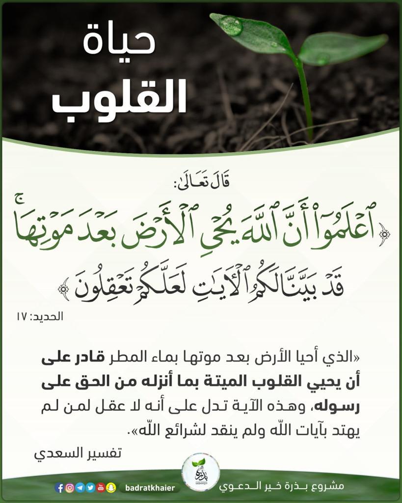 مختارات