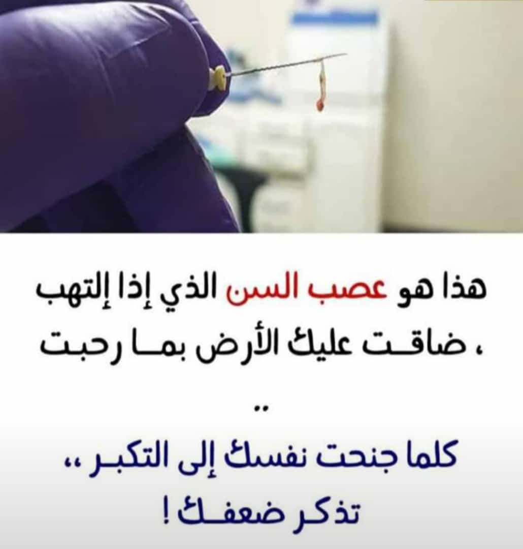 مختارات