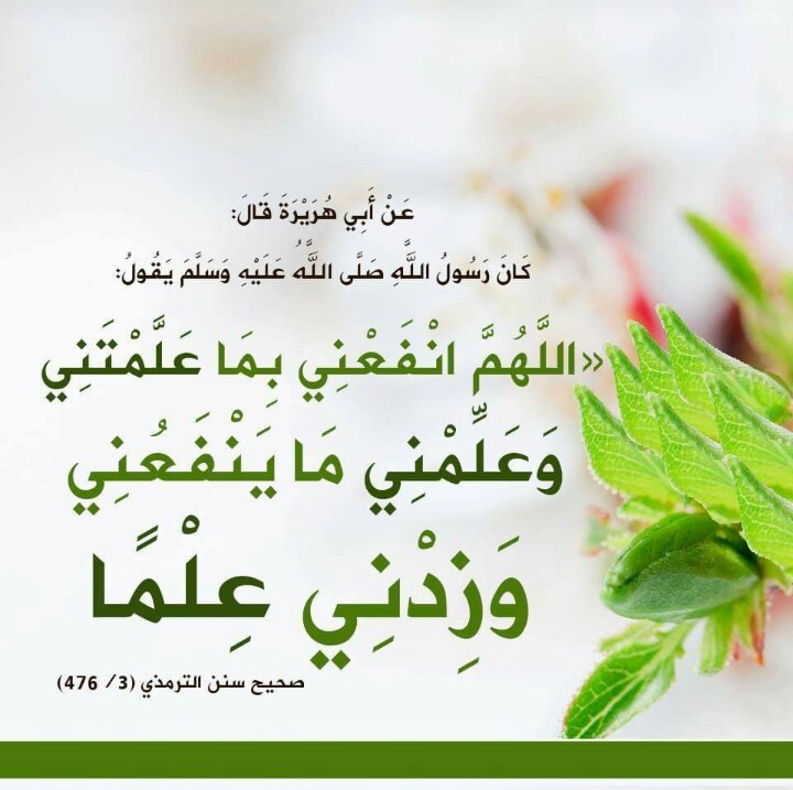 مختارات