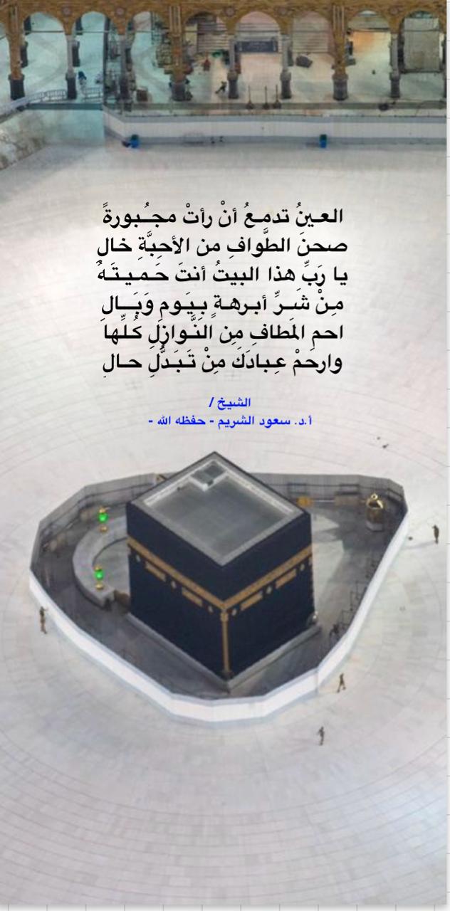 مختارات