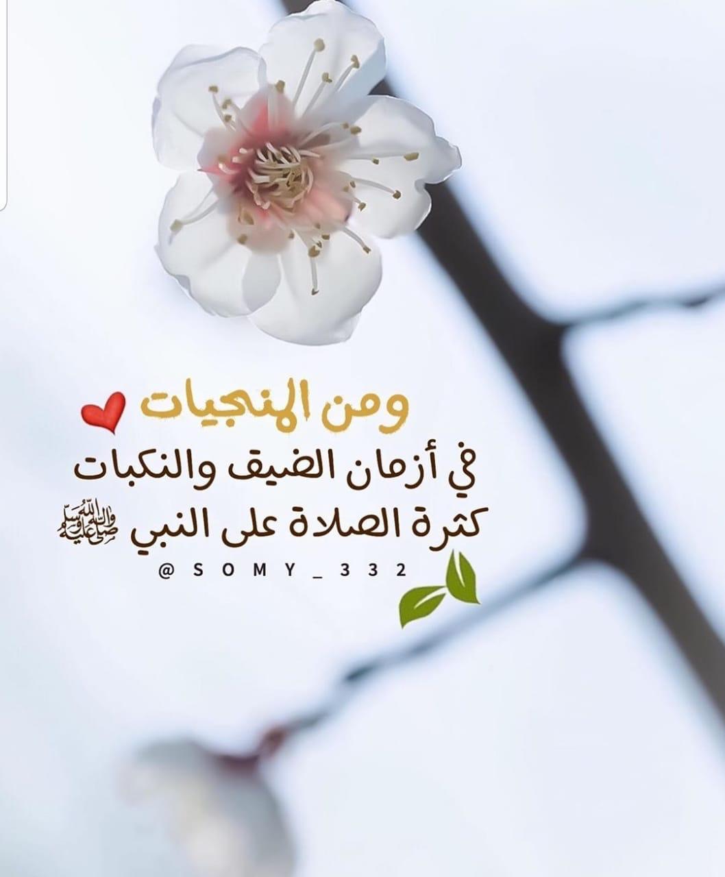 مختارات