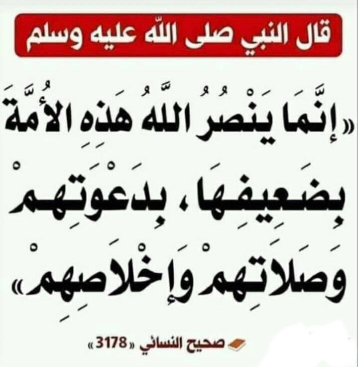 مختارات
