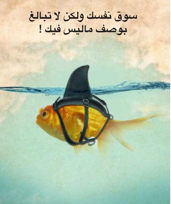 لا تبالغ بوصف ماليس فيك