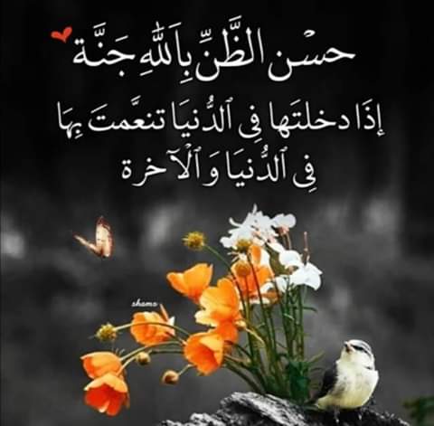مختارات