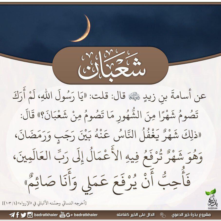 مختارات