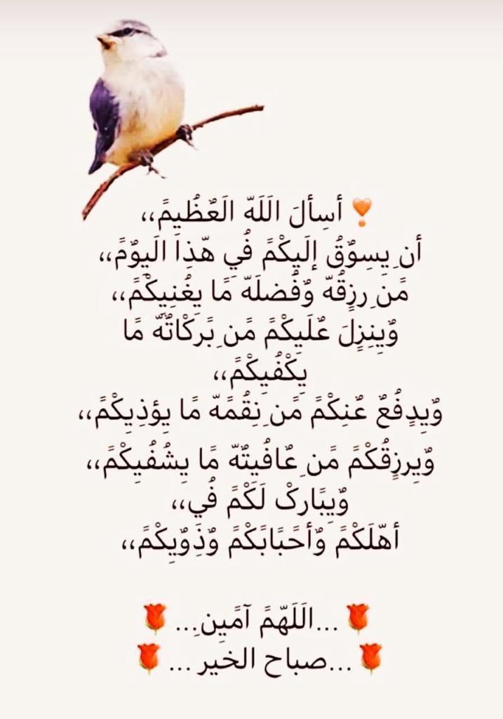 مختارات