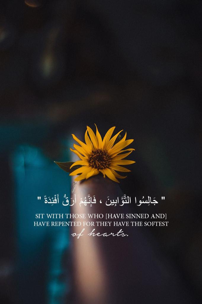 مختارات