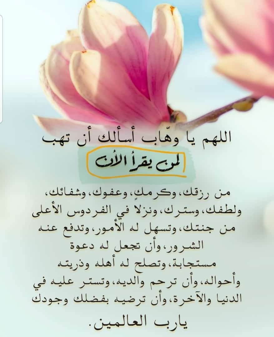 مختارات