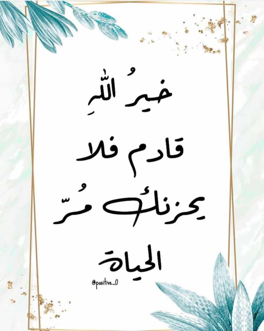 خير الله قادم فلا يحزنك مر الحياة 