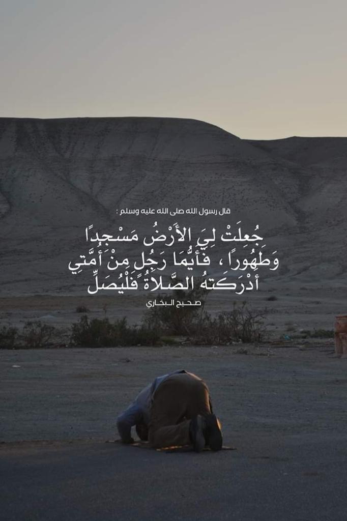 مختارات