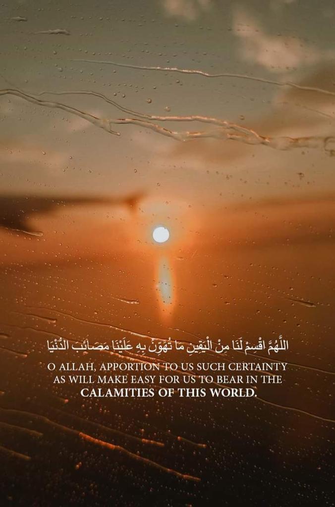 مختارات