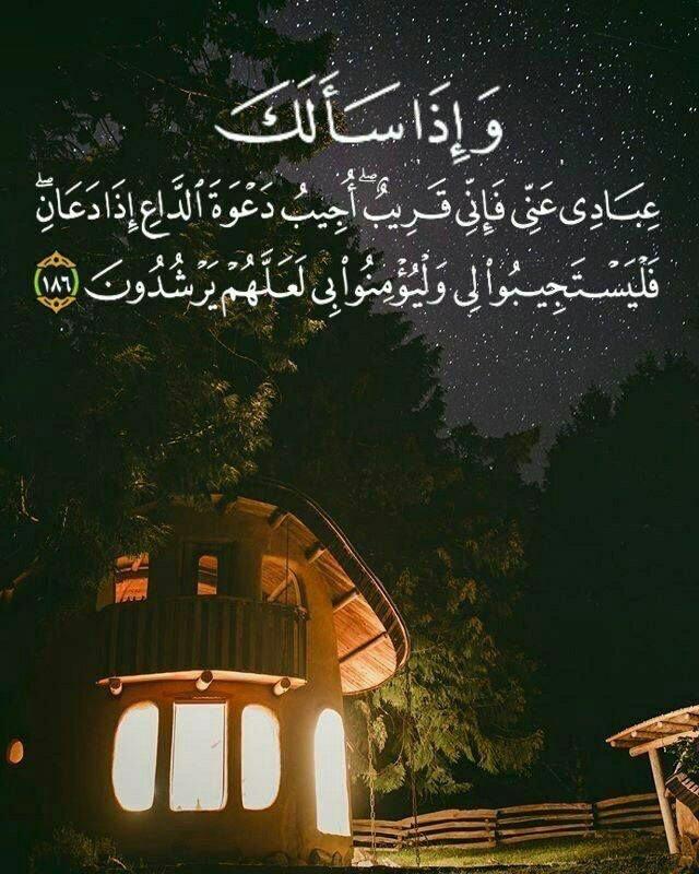 مختارات
