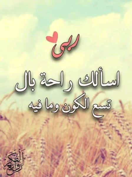 ربي اسألك راحة بال تسع الكون ومافيه