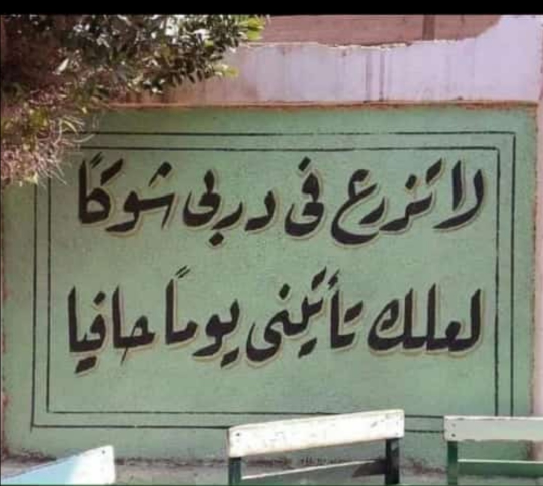 مختارات