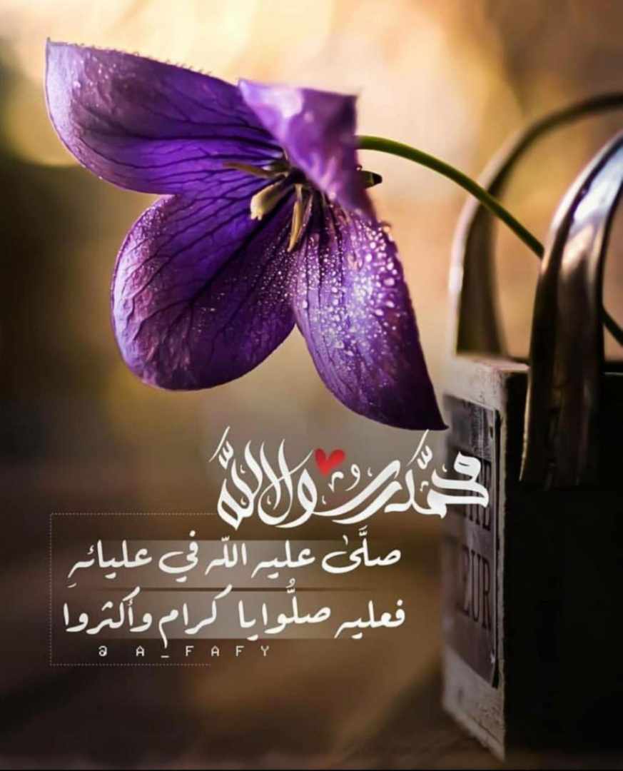 مختارات