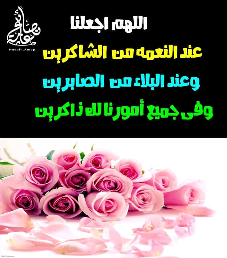 مختارات