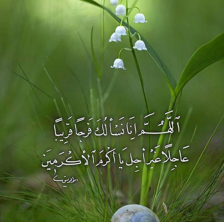 مختارات