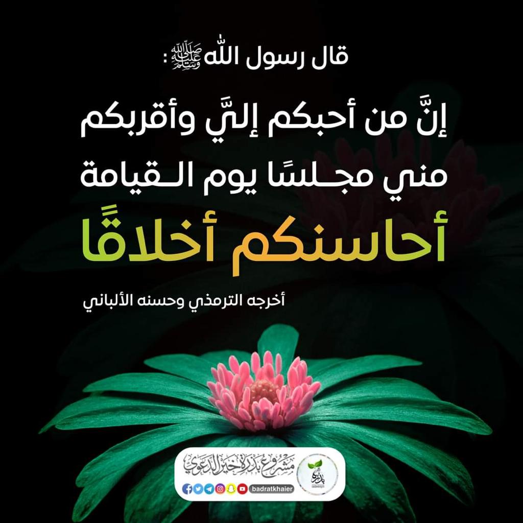 مختارات